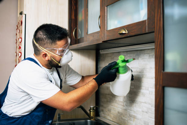  Blossburg, PA Pest Control Pros