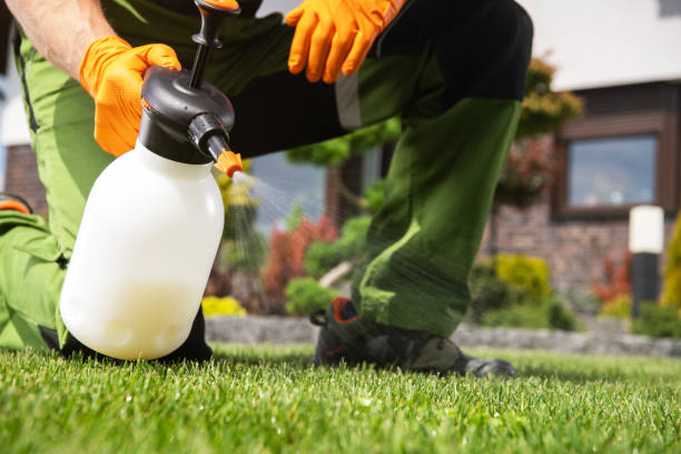 Best Emergency Pest Control  in Blossburg, PA