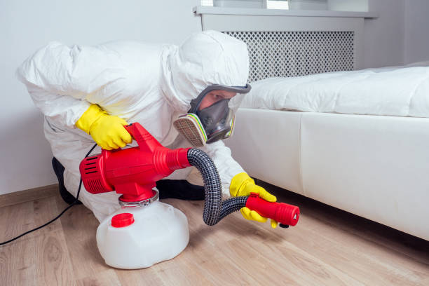 Best Affordable Pest Control Services  in Blossburg, PA