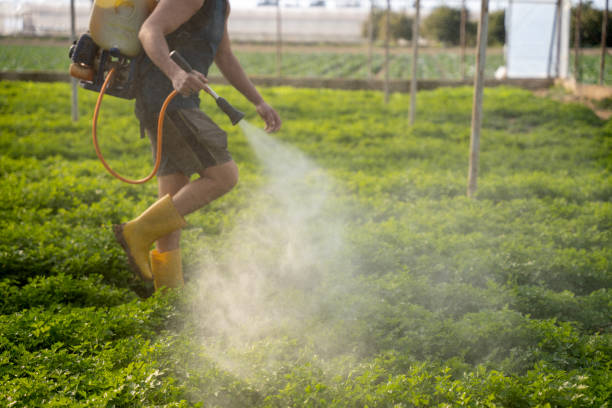 Best Affordable Pest Control Services  in Blossburg, PA