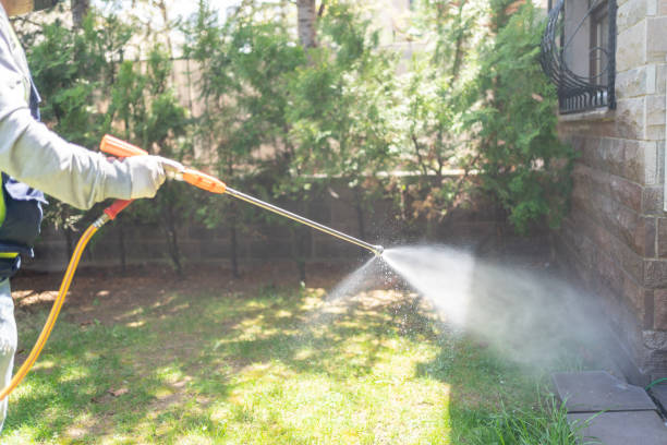 Best Exterminator Services  in Blossburg, PA