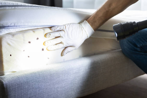 Best Wildlife Control Services  in Blossburg, PA
