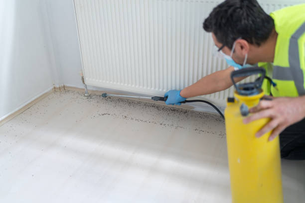 Best Emergency Pest Control  in Blossburg, PA